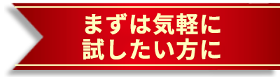 まずは気軽に試したい方に